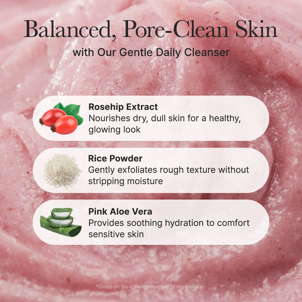 Arencia Fresh Rosehip Mochi Cleanser - JOLIE'S