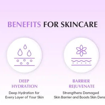 EQQUALBERRY Bakuchiol Plumping Capsule Cream 50 ml EQQUALBERRY JOLIE'S